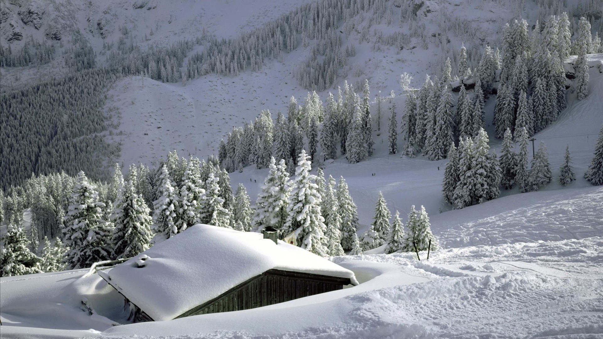 #m7y636g 3d Winter Wallpaper Px - Alps Winter In Germany - HD Wallpaper 