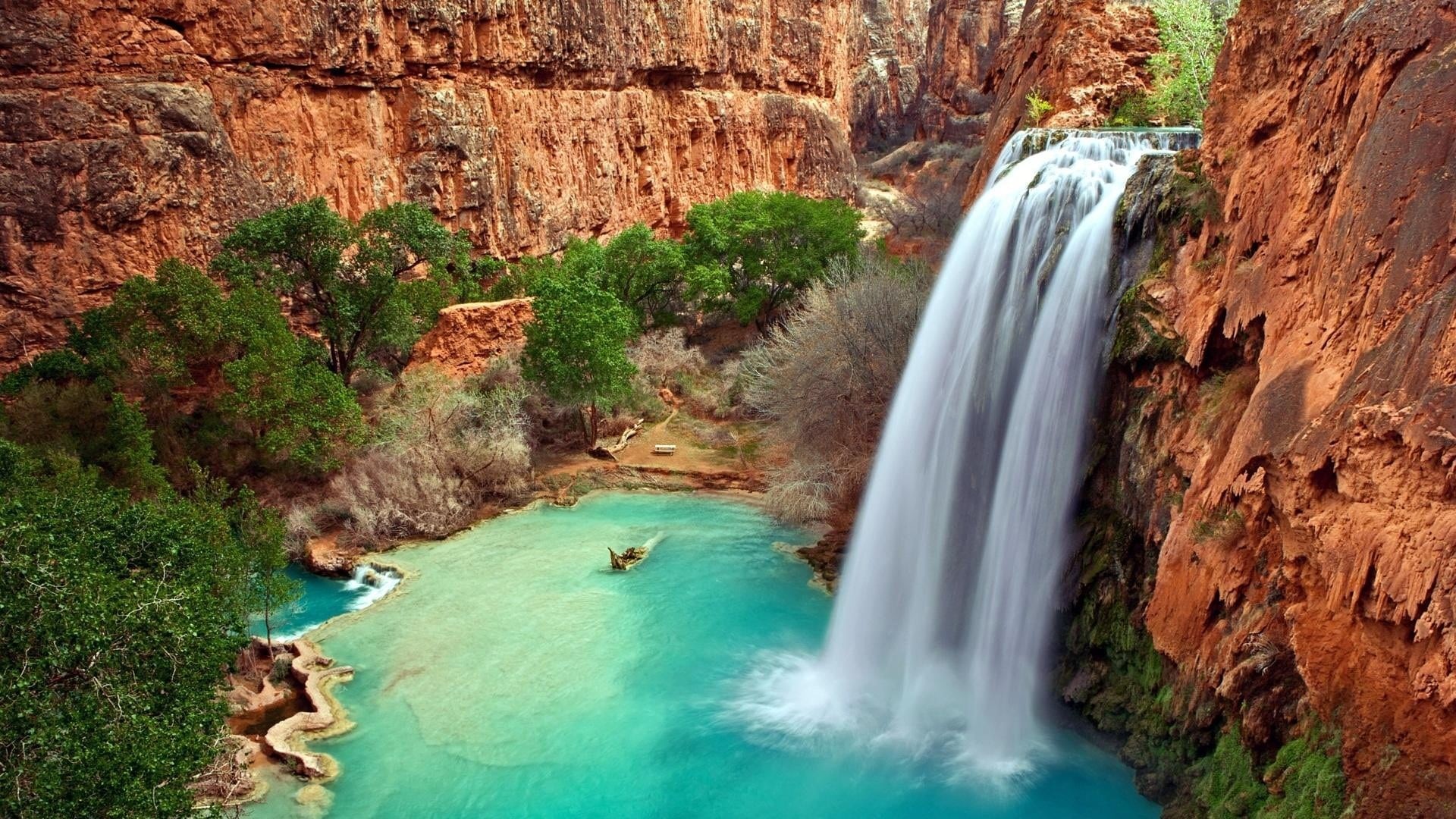 Waterfall Hd Wallpapers And Backgrounds 
 Data-src - Havasu Falls - HD Wallpaper 