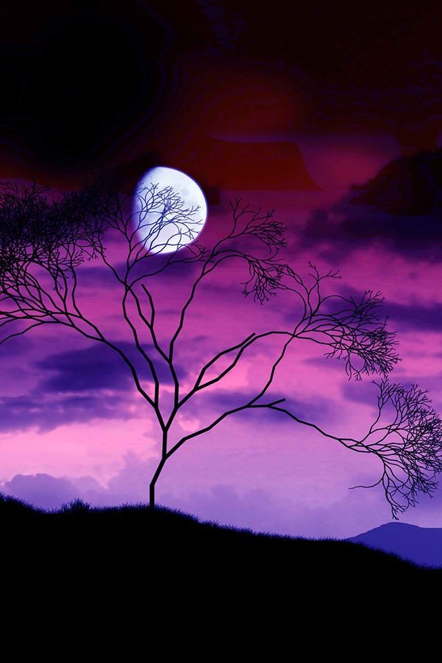 Moon Cover Photo For Facebook - 640x960 Wallpaper - teahub.io