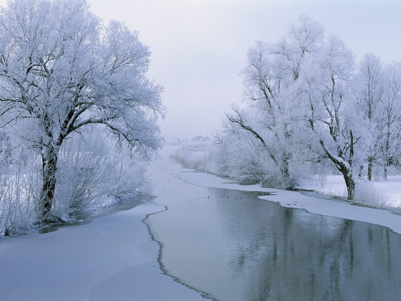 3d Animated Winter Wallpaper Desktop - Snow Scenes - HD Wallpaper 