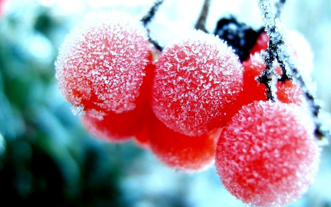 Download Wallpaper 3d Red Frozen Cranberries - Cranberries In The Winter - HD Wallpaper 