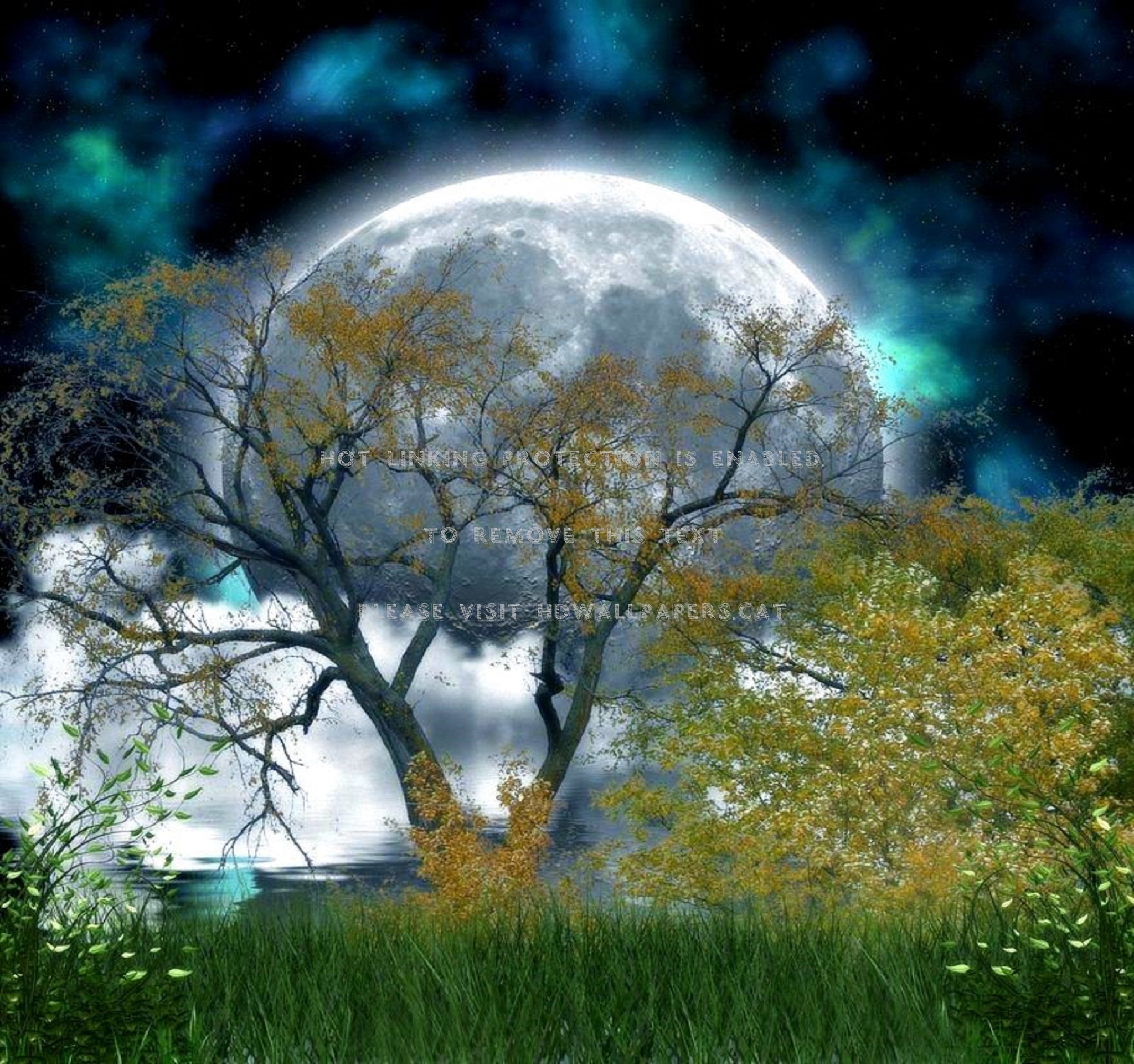 Moonlight In Forest Cool Landscapes Love Bg - HD Wallpaper 