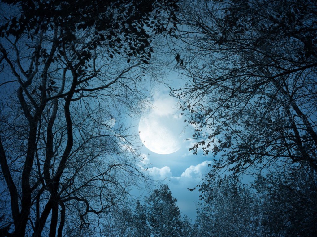 Hd 3d Moon Wallpaper - Background Image For Full Page - HD Wallpaper 