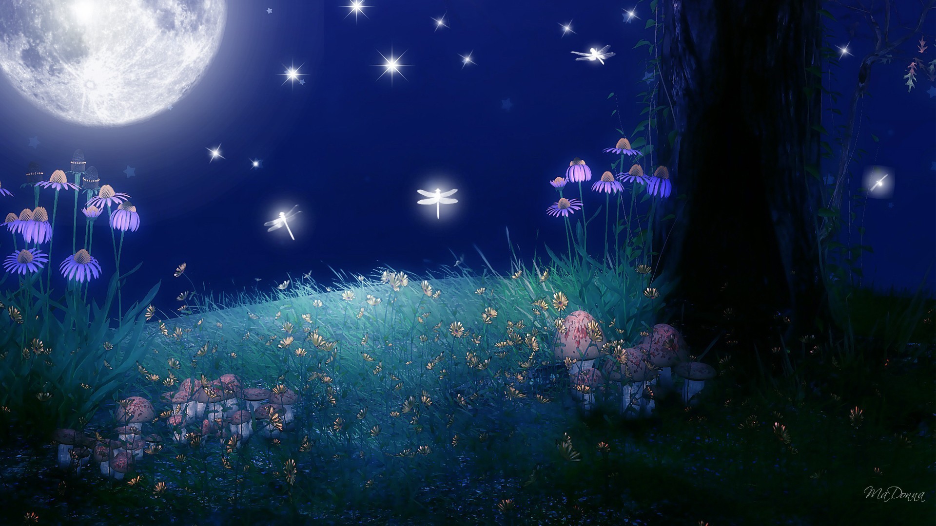 Free Hd Full Moon Stars Wallpapers Download Data-src - Moon And Star Hd - 1920x1080 Wallpaper Free Hd Full Moon Stars Wallpapers Download Data-src - Moon And Star Hd - 1920x1080 Wallpaper