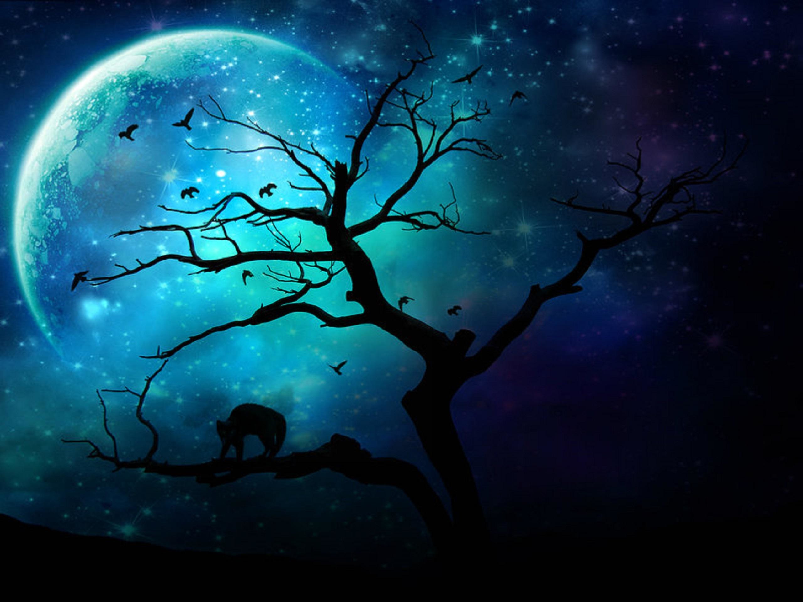 Blue Moon Wallpapers Hd Resolution 
 Data-src - Blue Moon Background - HD Wallpaper 