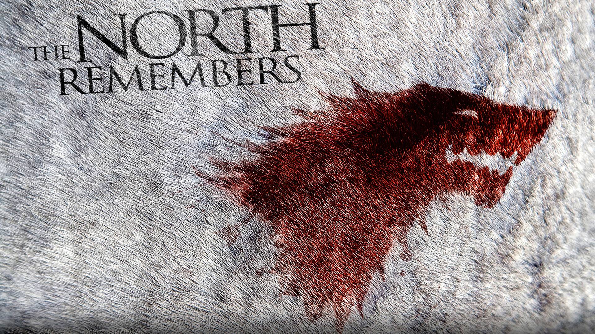 House Stark - HD Wallpaper 