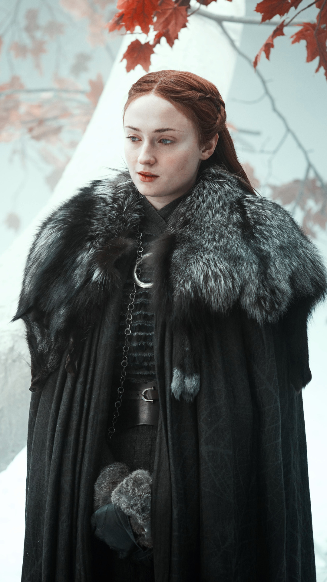 Image - Sansa Stark - HD Wallpaper 