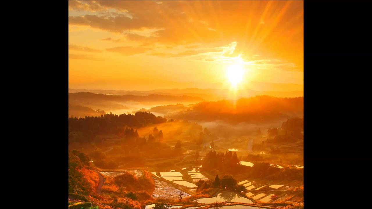 Wallpaper - HD Wallpaper 