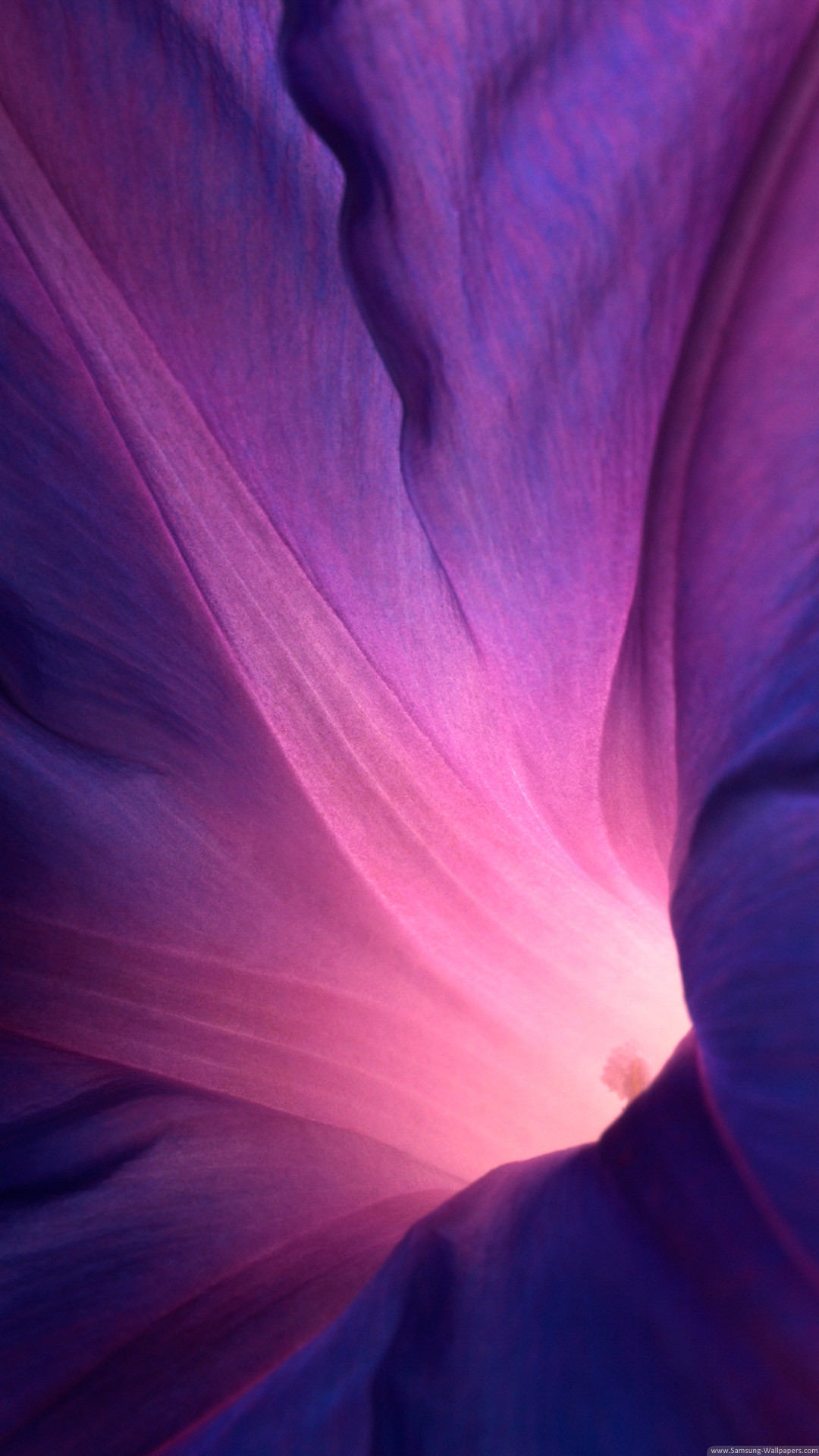 Download Sony Xperia Z1 Official Stock Flower Lock - Lock Screen Wallpaper Iphone Flowers - HD Wallpaper 
