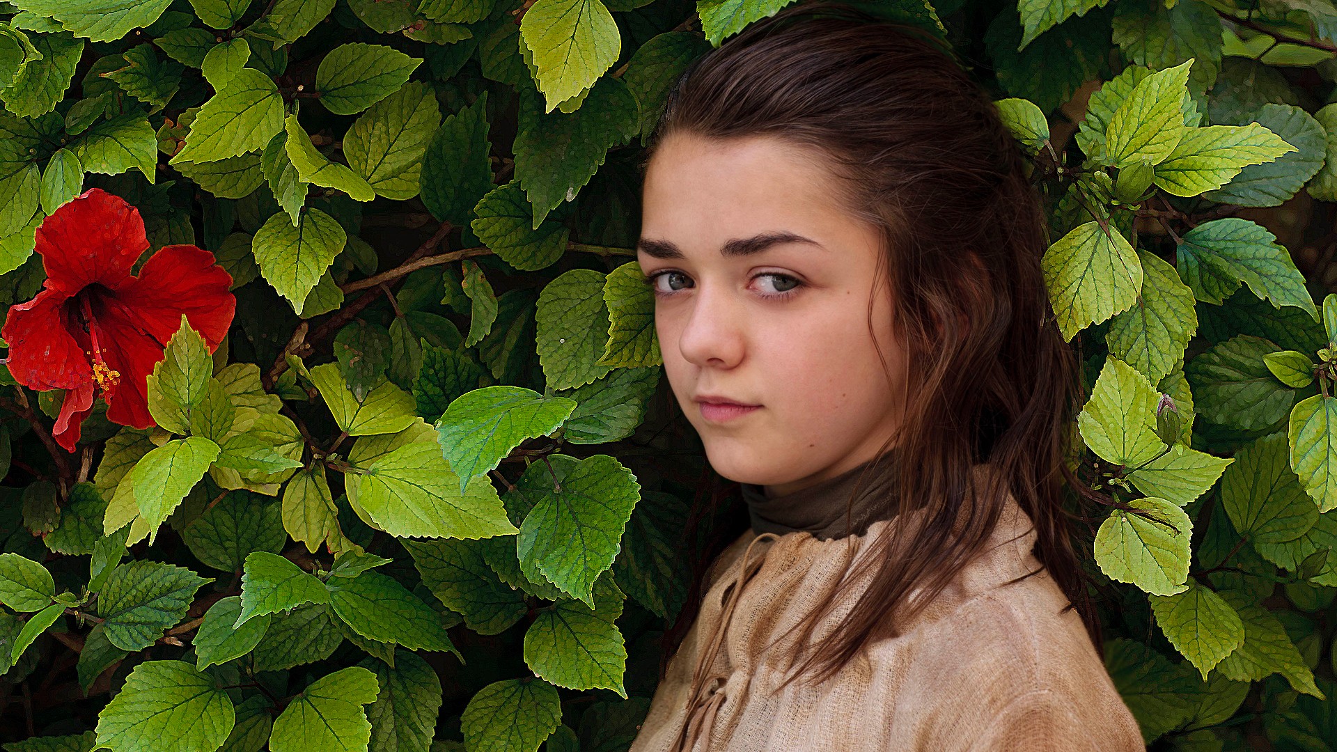 Wallpaper - Arya Stark Images Download - HD Wallpaper 