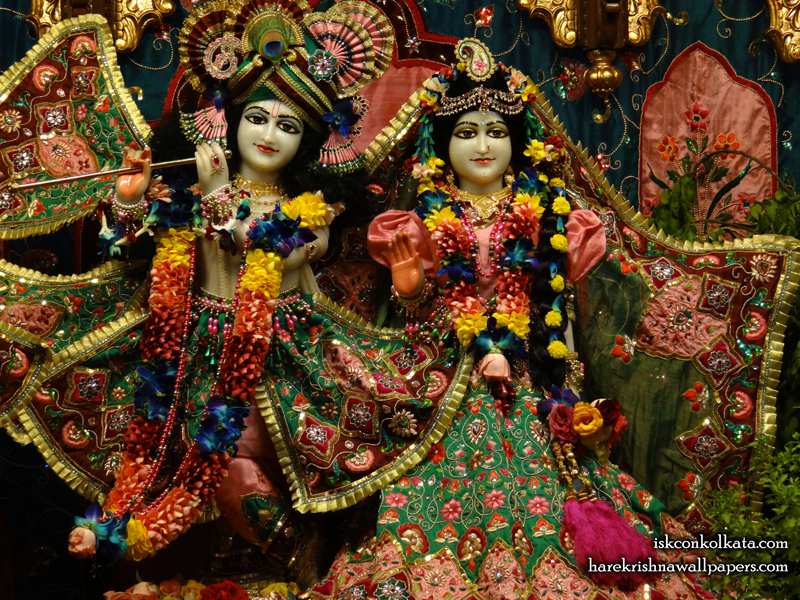 Sri Sri Radha Govinda Wallpaper - Radha Govinda Iskcon Kolkata - HD Wallpaper 