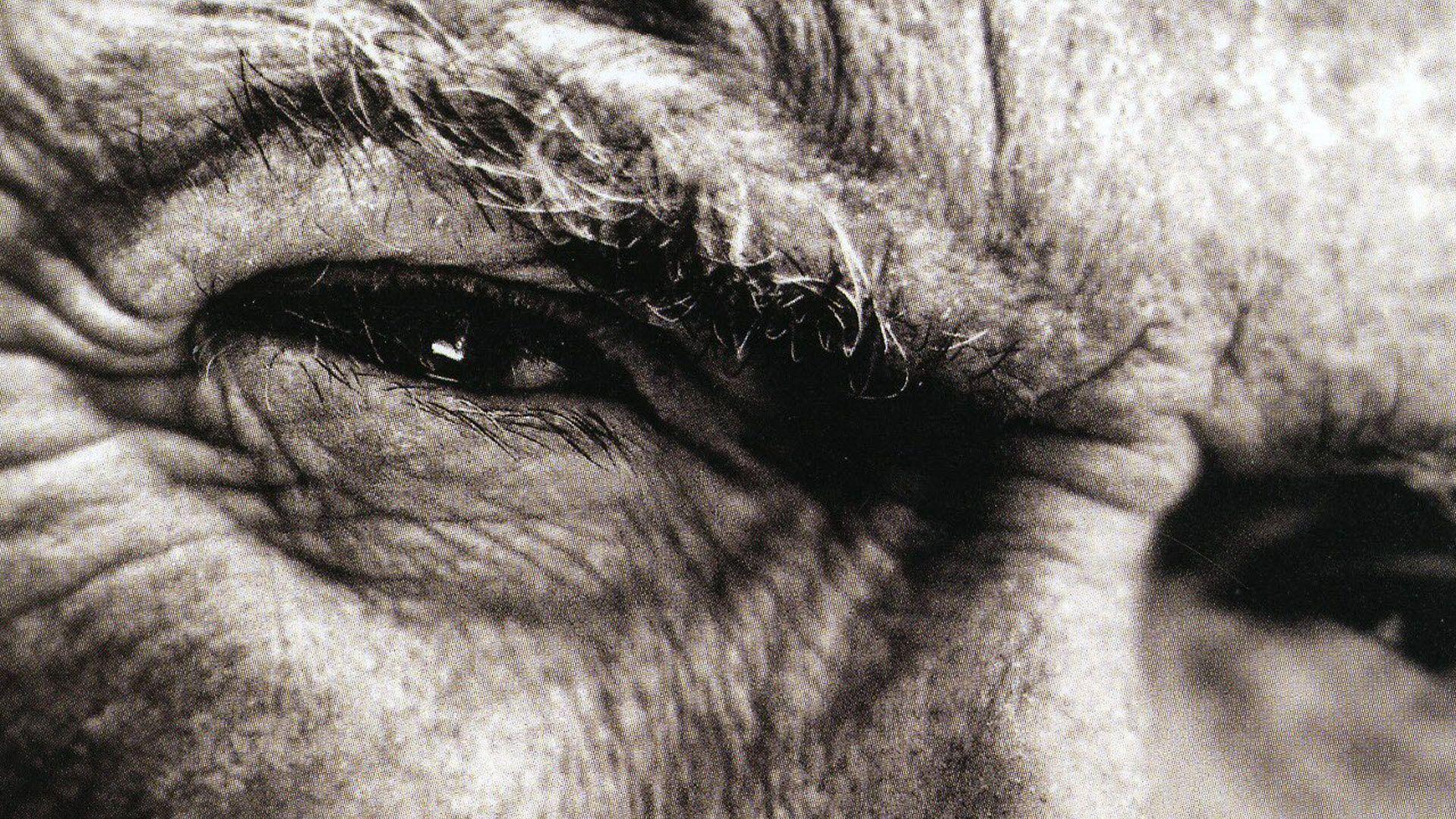 Clint Eastwood Wallpaper Hd - HD Wallpaper 