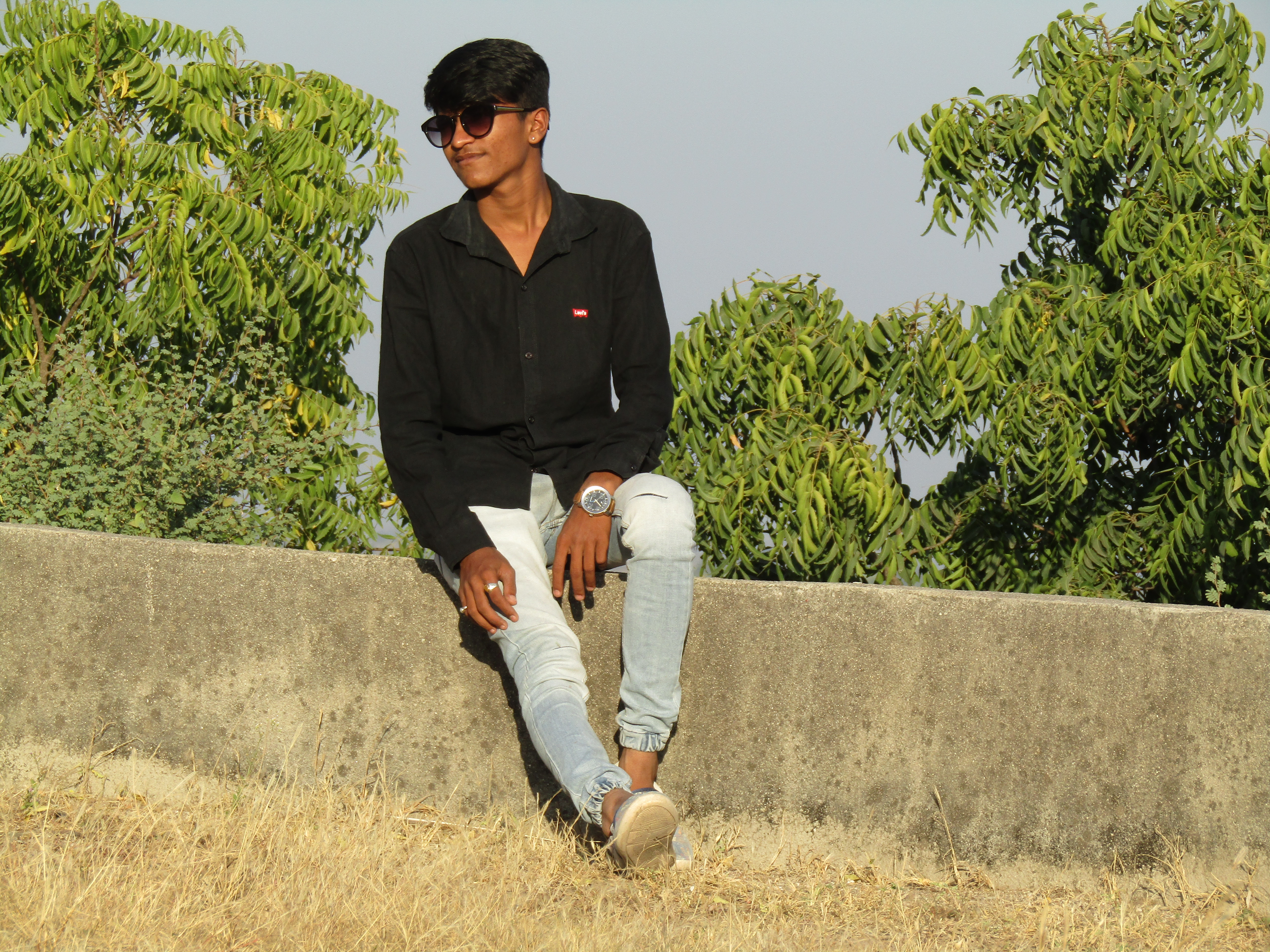 Img 0820 - Tree - HD Wallpaper 