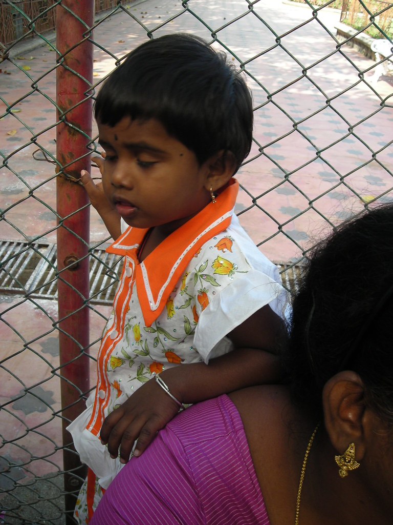 Toddler - HD Wallpaper 