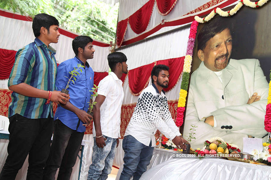 Decoration - HD Wallpaper 