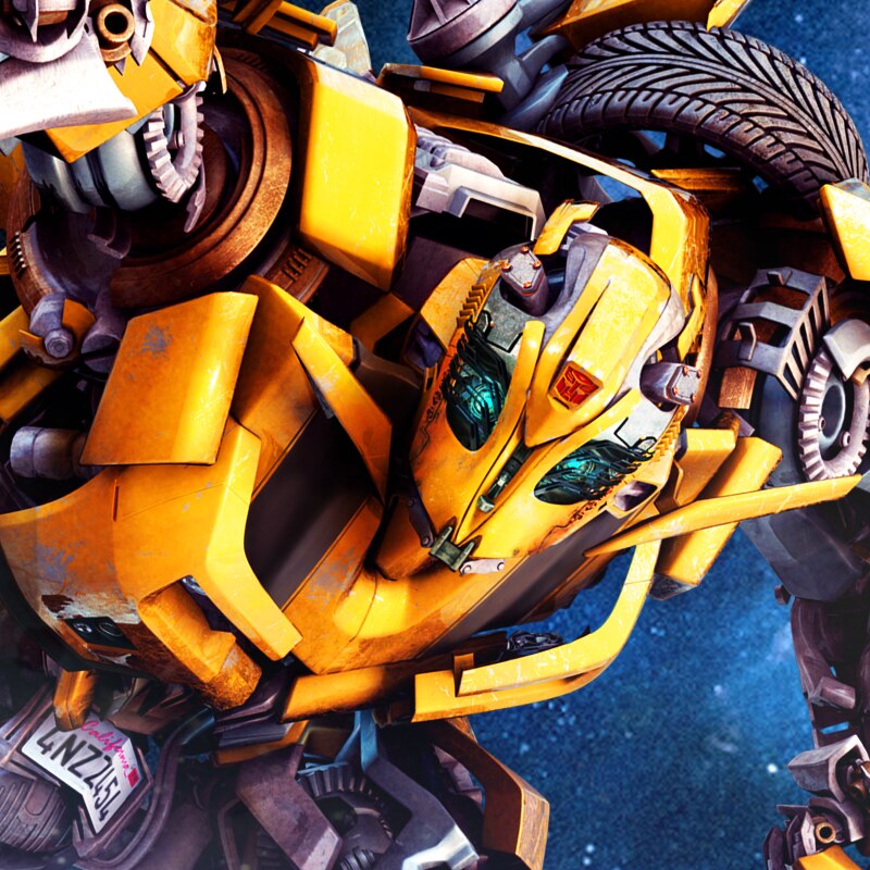 Hailee Steinfeld In Bumblebee Movie - 800x800 Wallpaper - teahub.io