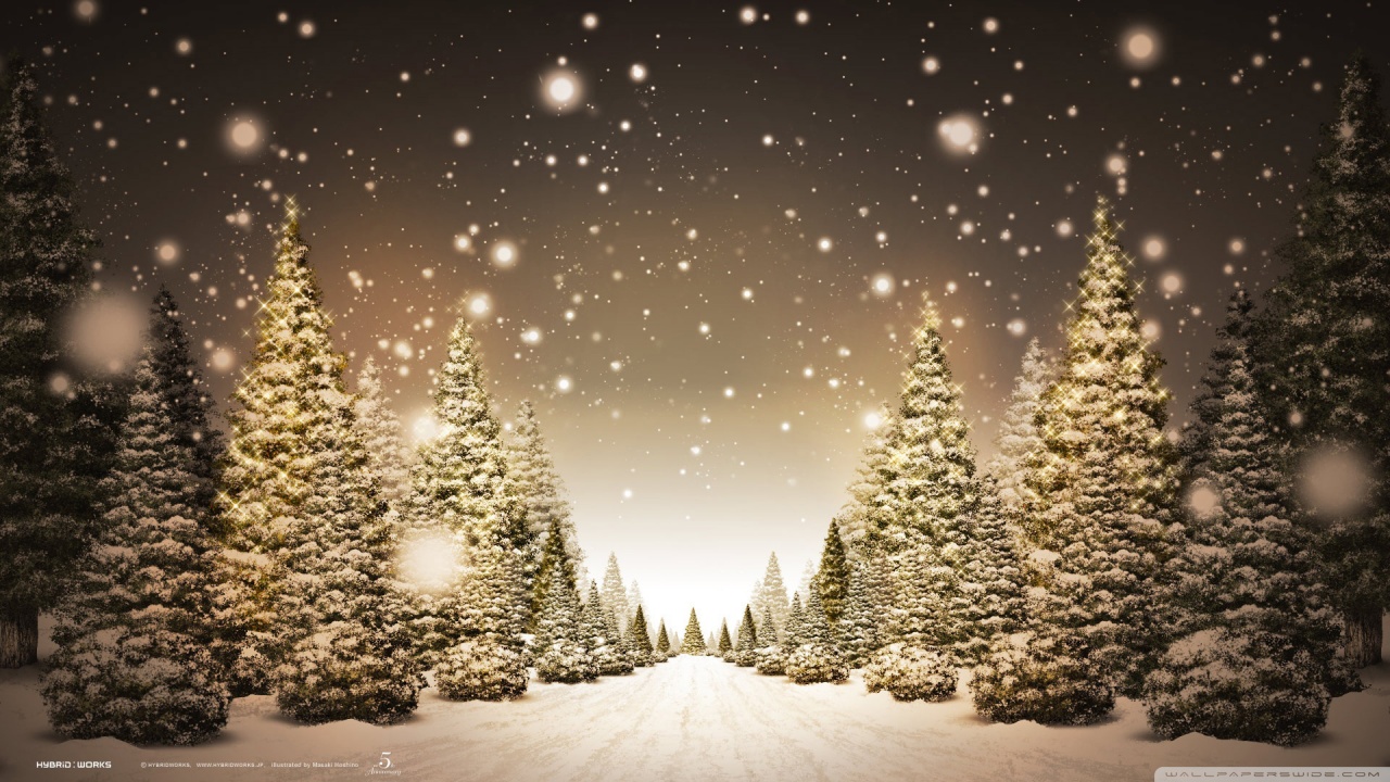 Christmas Trees And Snow - HD Wallpaper 
