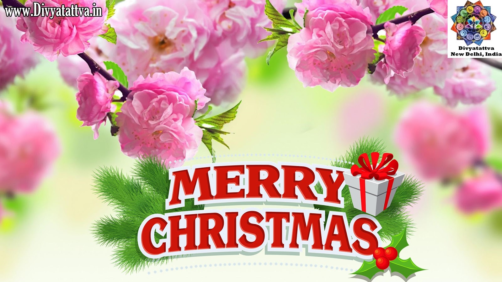Christmas Wallpaper, Cute Christmas Wallpaper Phone, - Assalamu Alaikum Photo Images Download - HD Wallpaper 
