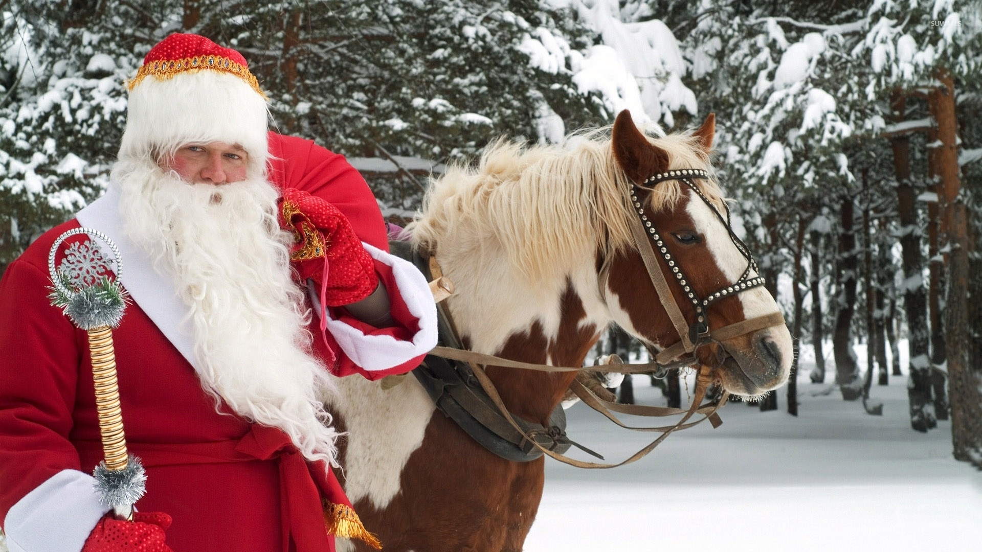 Santa Claus With Horse - HD Wallpaper 