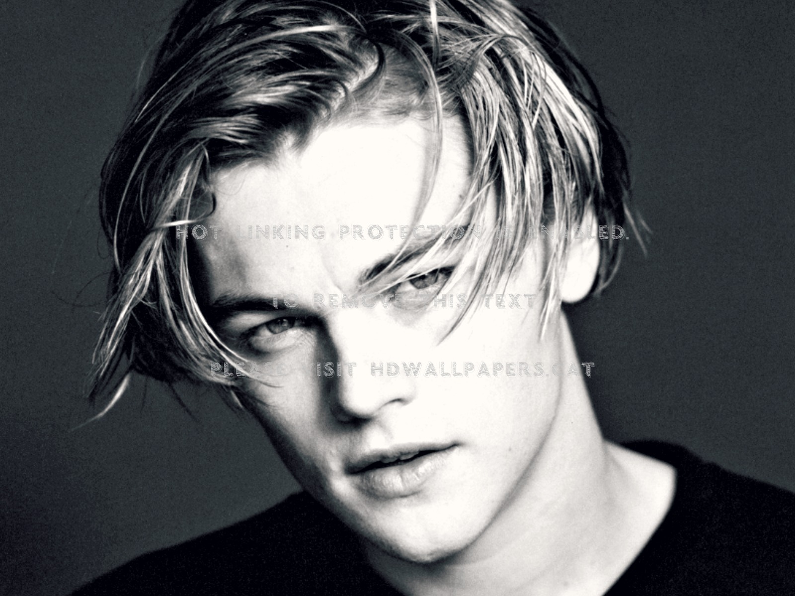 Leonardo Dicaprio White Blue Young Man - Young Leonardo Dicaprio Black And White - HD Wallpaper 