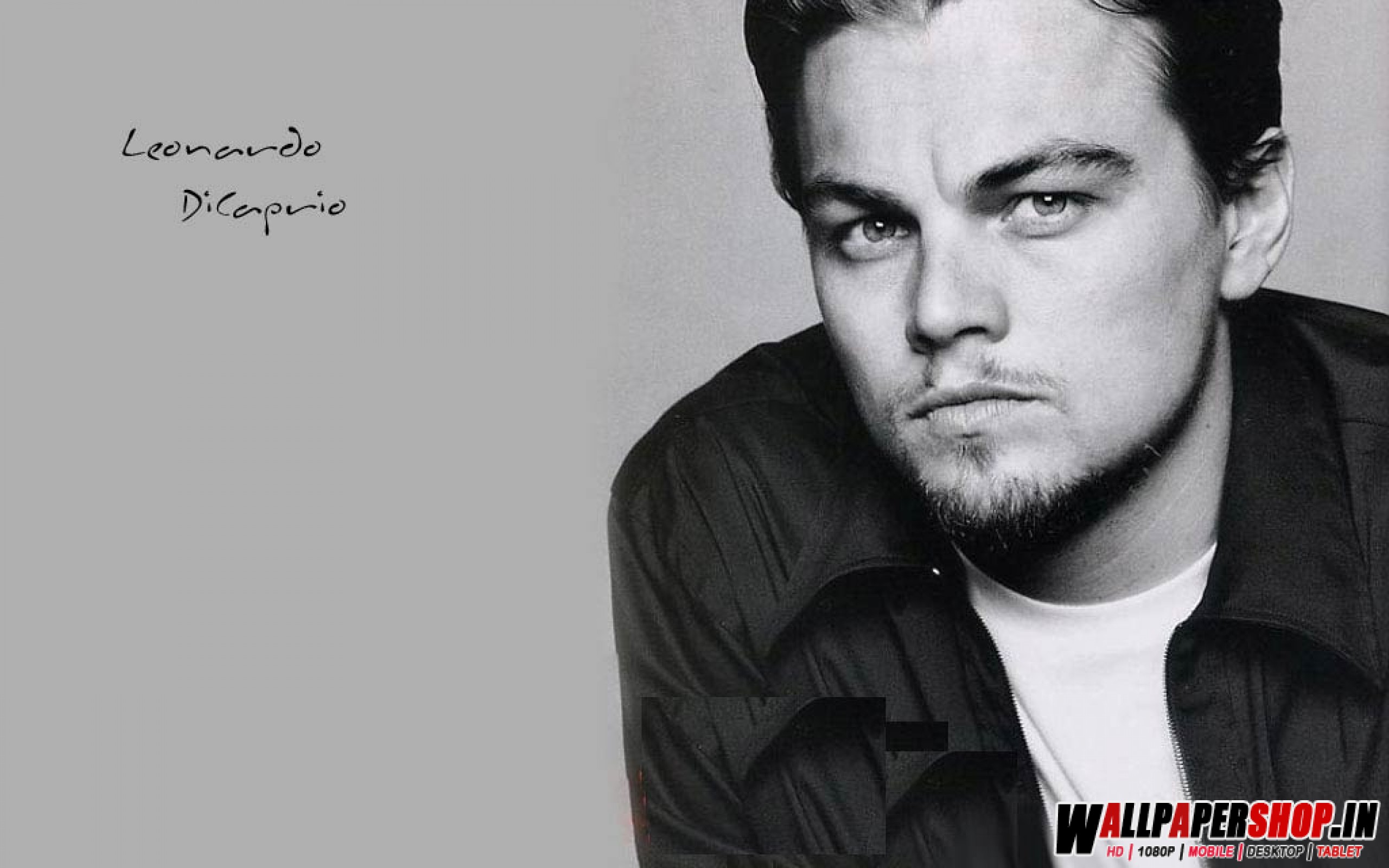 Leonardo Dicaprio Hq - HD Wallpaper 