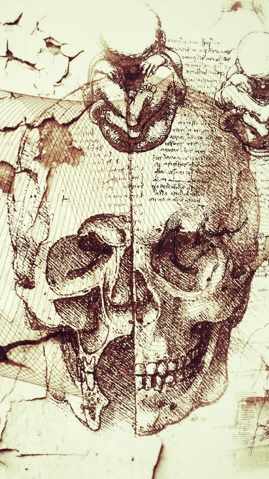 Wallpaper Davinci, Artifacts, Abstract, Kreatiff - Leonardo Da Vinci Skull Drawings - 540x960 Wallpaper Wallpaper Davinci, Artifacts, Abstract, Kreatiff - Leonardo Da Vinci Skull Drawings - 540x960 Wallpaper
