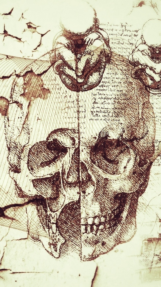 Wallpaper Davinci, Artifacts, Abstract, Kreatiff - Leonardo Da Vinci Skull Drawings - HD Wallpaper 