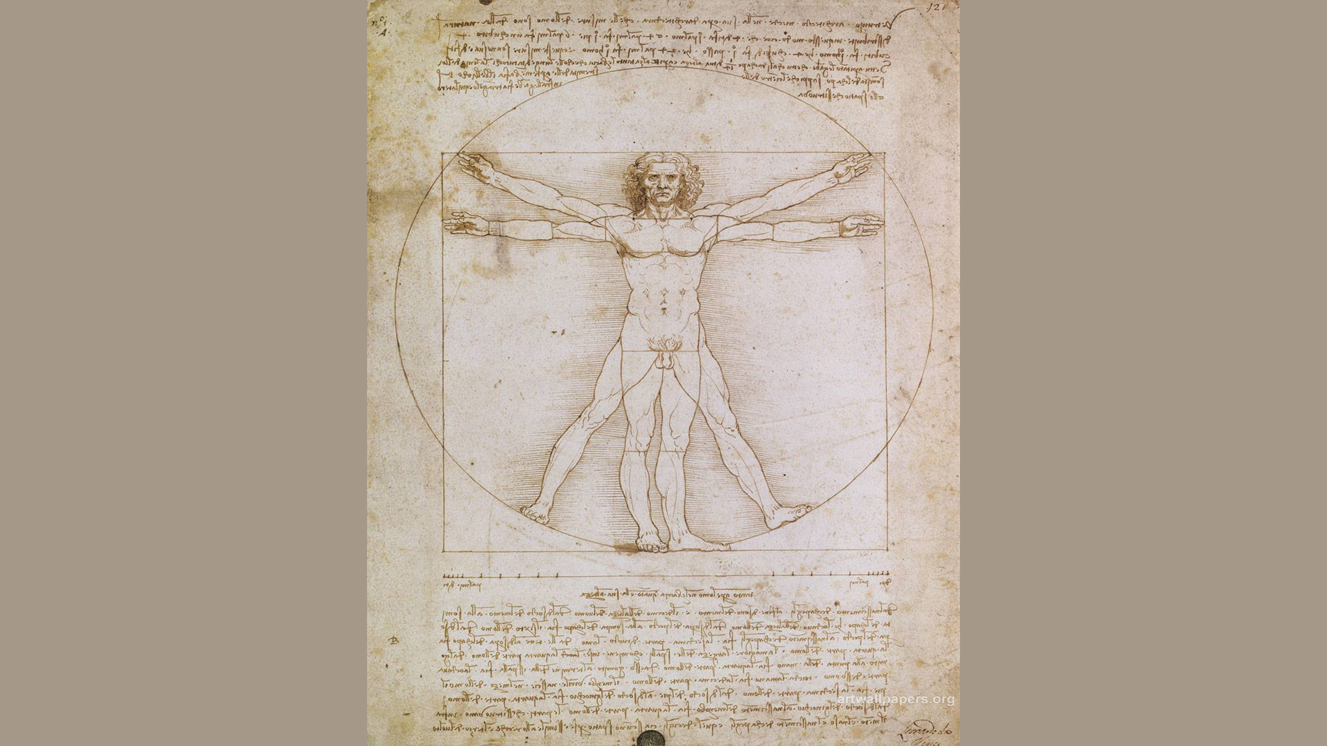 Leonardo Da Vinci - HD Wallpaper 