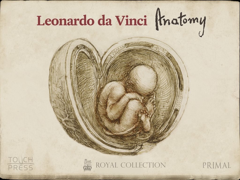 Leonardo Da Vinci Brain Drawings - 1024x768 Wallpaper Leonardo Da Vinci Brain Drawings - 1024x768 Wallpaper