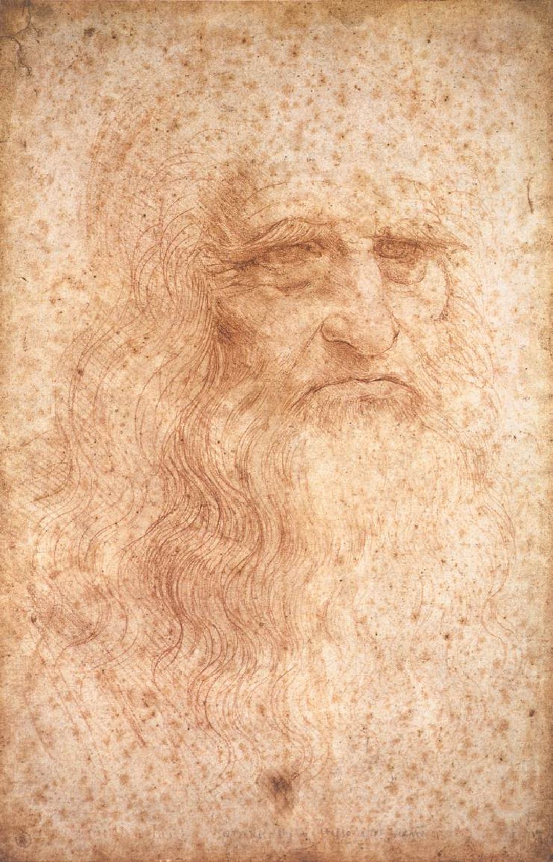 Leonardo Da Vinci - Leonardo Da Vinci Alien Drawing - HD Wallpaper 