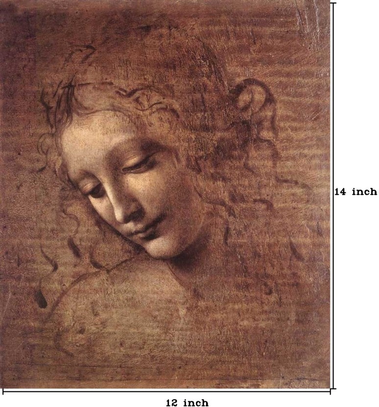 Leonardo Da Vinci La Spigliata - HD Wallpaper 