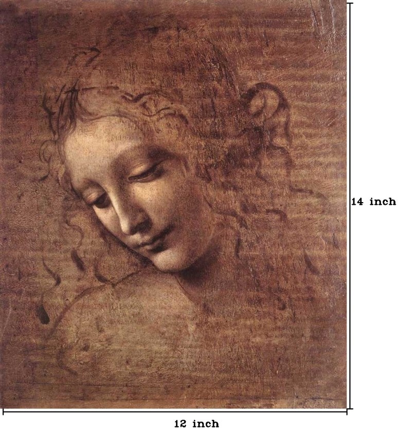 Leonardo Da Vinci La Spigliata - HD Wallpaper 