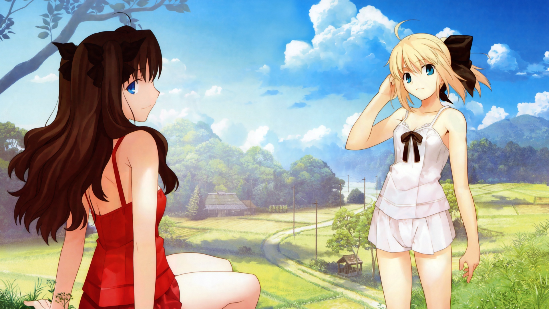 Wallpaper Anime, Girls, Summer, Sun, Grass, Leisure - Rin Tohsaka And Saber - HD Wallpaper 
