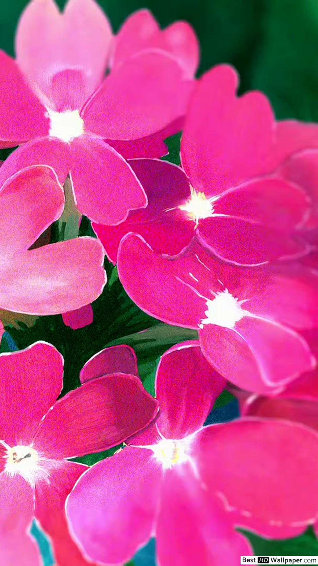 Kyoukai No Kanata Flowers - HD Wallpaper 