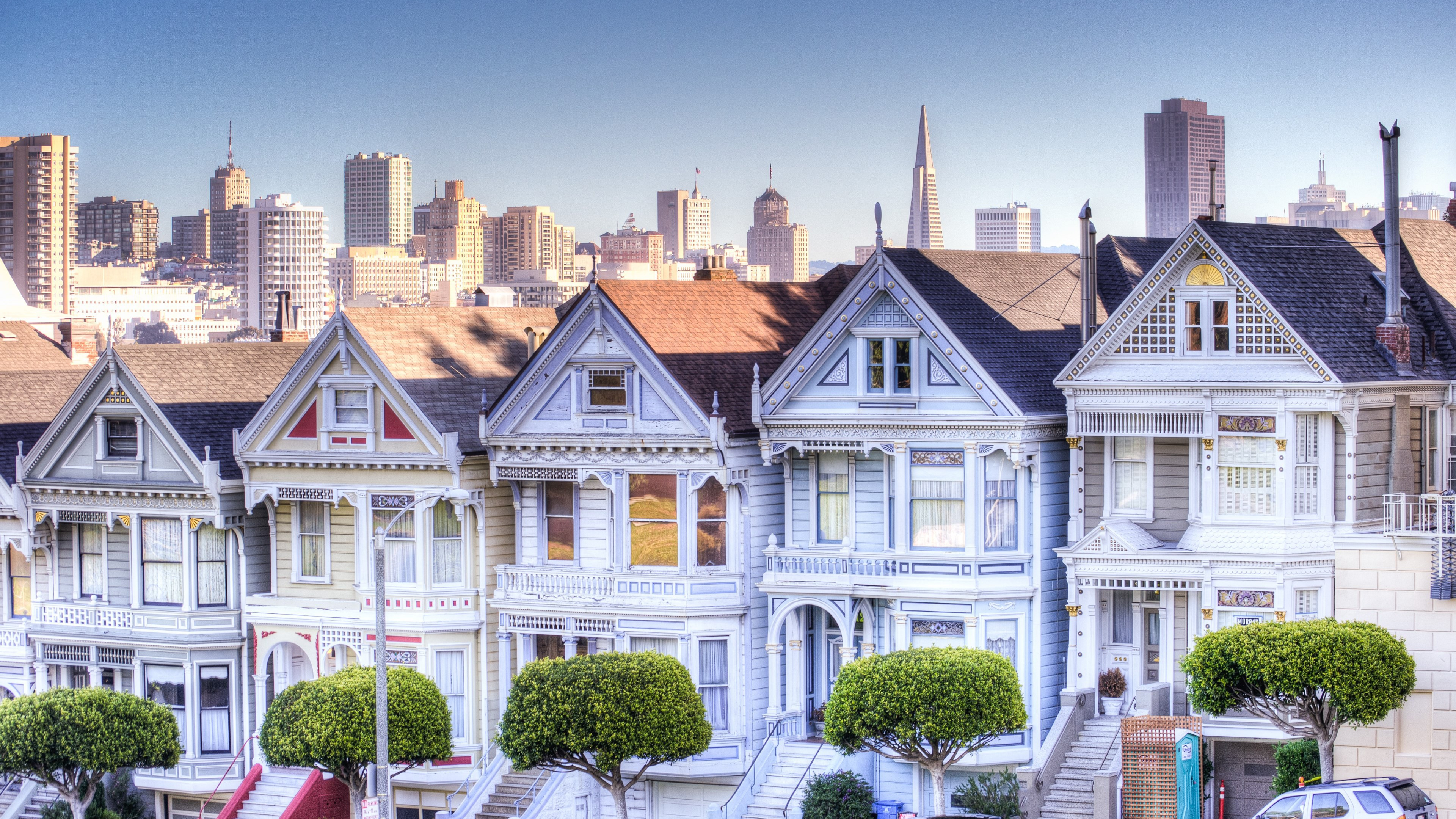 Painted Ladies Wallpaper - Painted Ladies - HD Wallpaper 