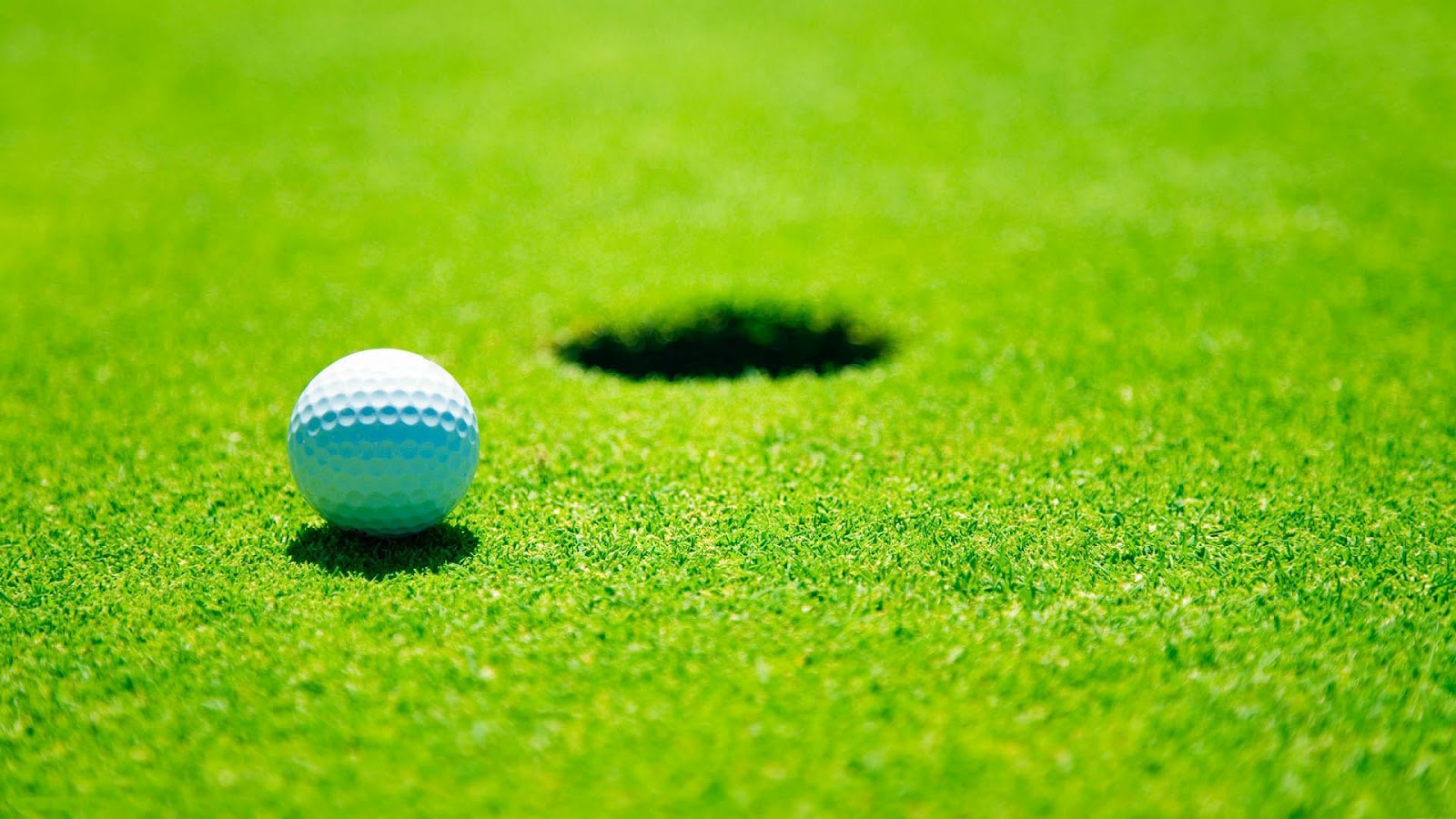 Golf Course Grass Background - HD Wallpaper 