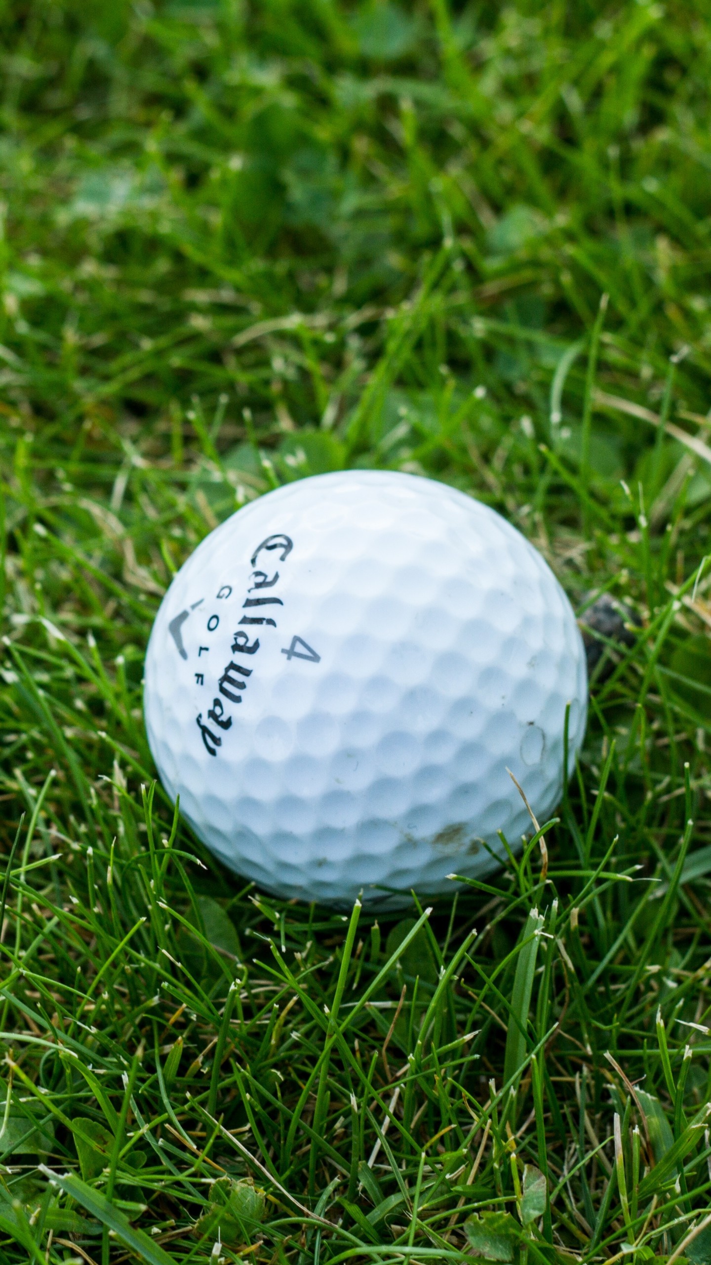 Preview Wallpaper Golf, Ball, Grass 
 Data-src - Golf Ball Wallpaper Iphone - HD Wallpaper 