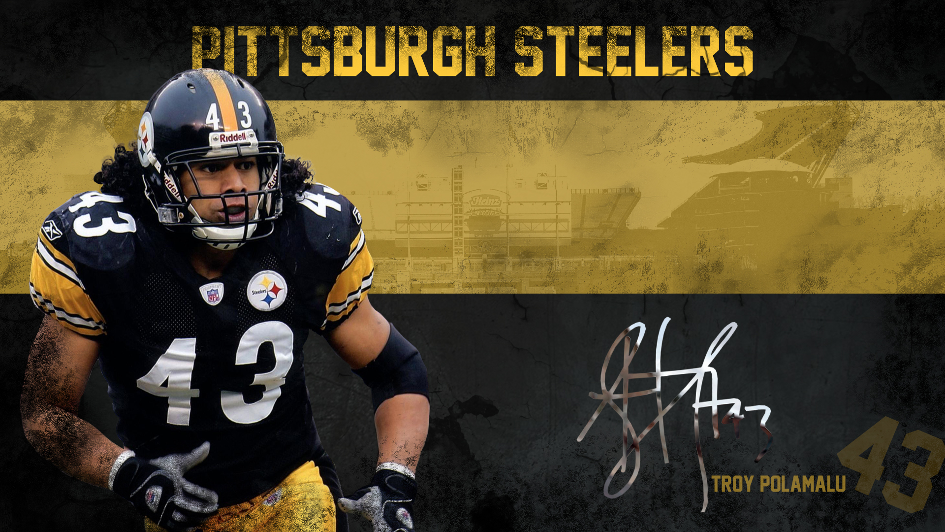 Troy Polamalu Wallpaper - Steelers Wallpaper Troy Polamalu - HD Wallpaper 