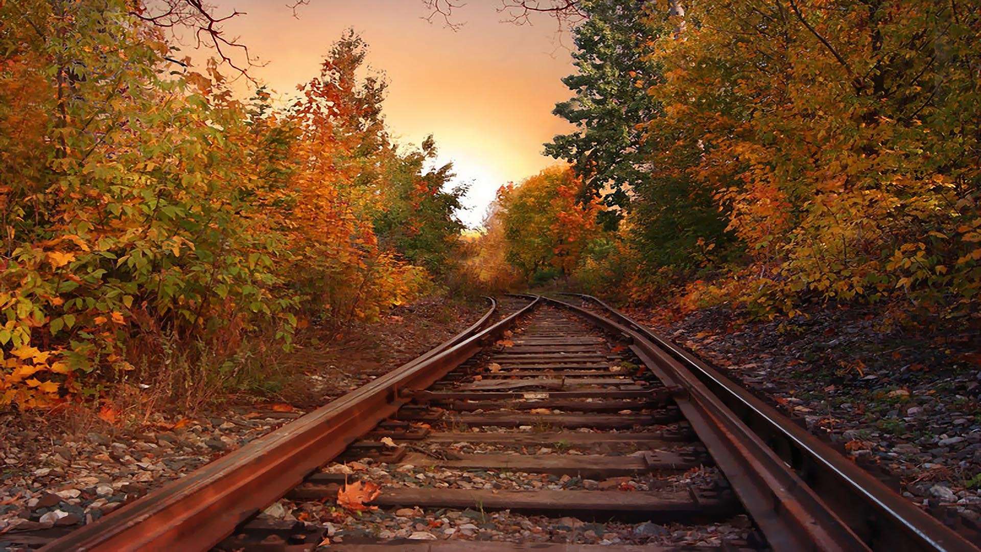 Autumn Rail Hd Wallpaper - Fall Backgrounds Railroad - HD Wallpaper 