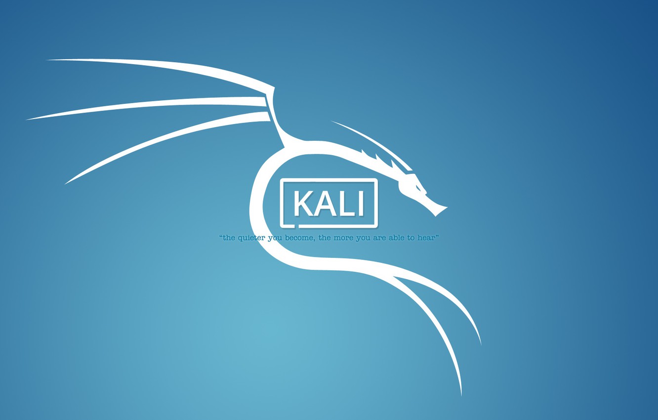 Photo Wallpaper Linux, Dragon, Mr Robot, Kali, Kali - Kali Linux - HD Wallpaper 