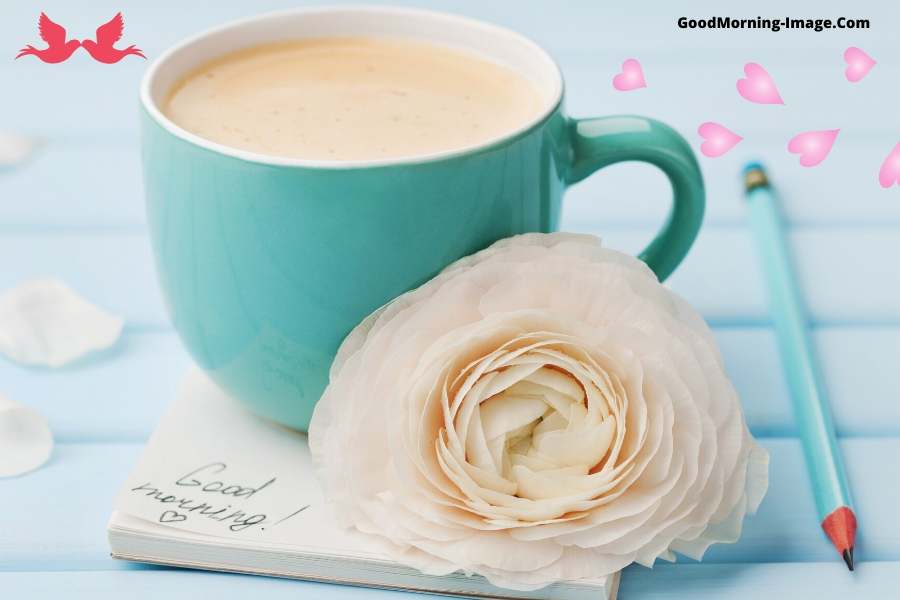 Good Morning Pic - Good Morningcoffee And Flowers - HD Wallpaper 