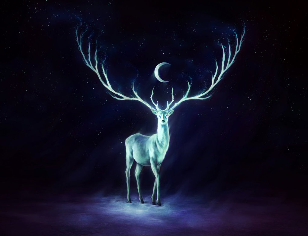 Interactive Wallpapers - Reindeer Night - HD Wallpaper 