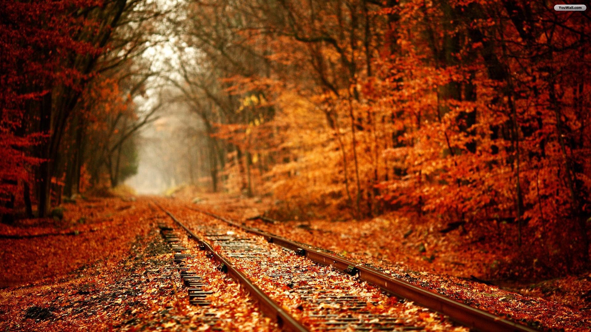 Scenic Railroad Track Wallpapers - Beautiful Fall - HD Wallpaper 