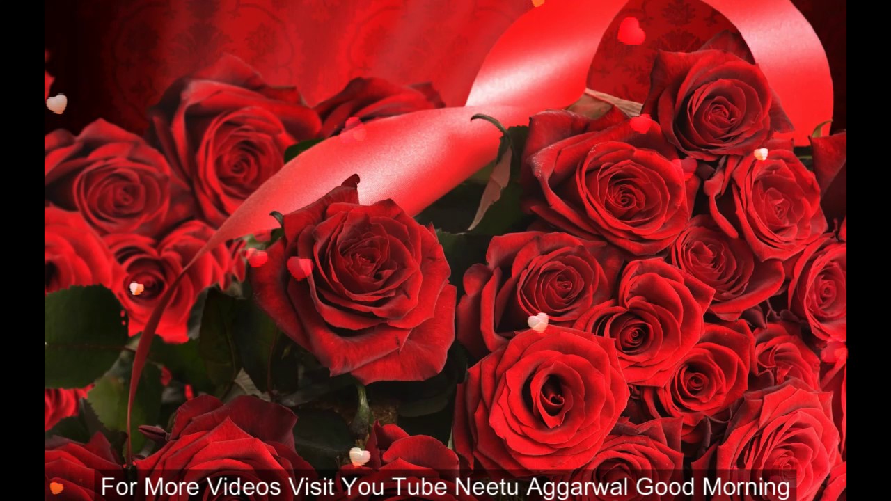 Roses For Women's Day - HD Wallpaper 