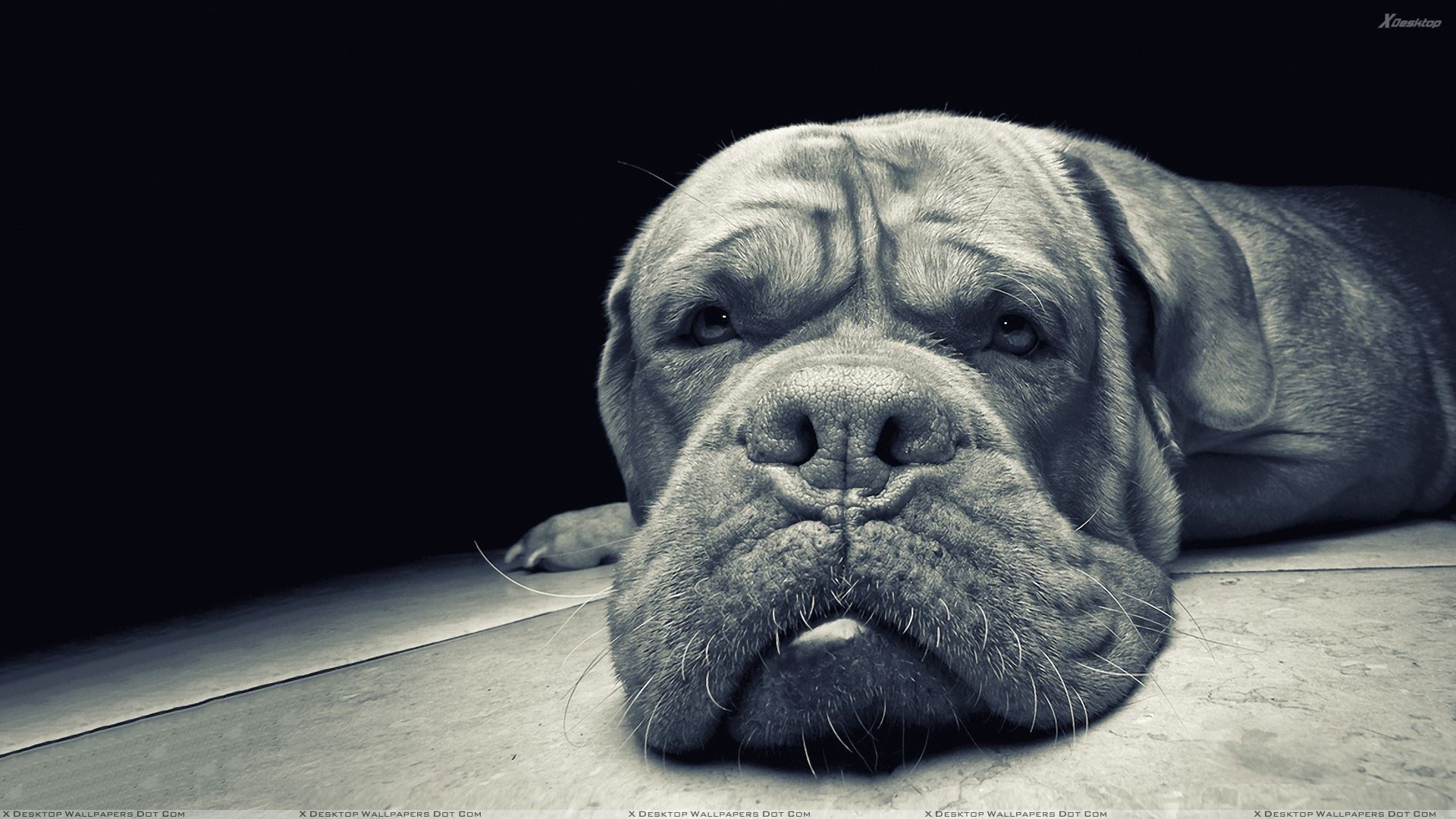 Happy Birthday Cards To My Son For Facebook - HD Wallpaper 