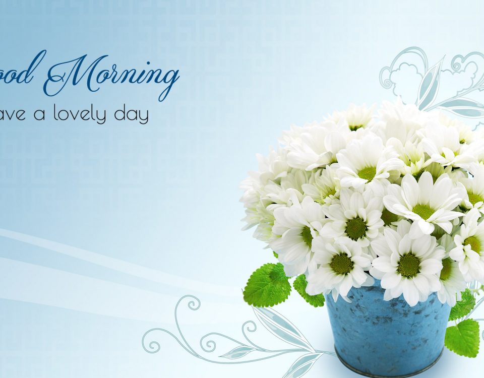 Good Morning Images Hd Flower Wallpaper With Light - พื้น หลัง ช่อ ดอกไม้ - HD Wallpaper 