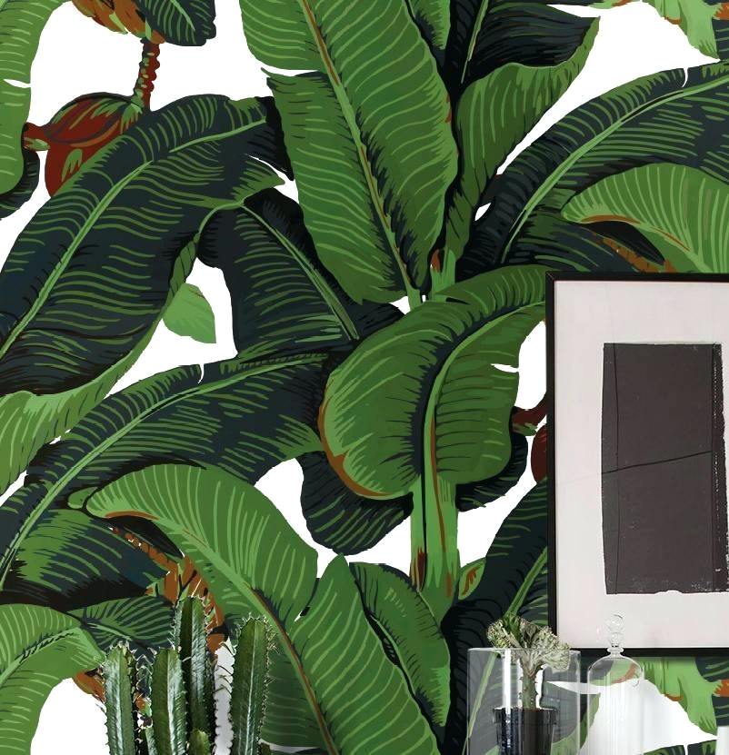 Banana Leaf Beverly Hills Pattern - 802x831 Wallpaper - teahub.io