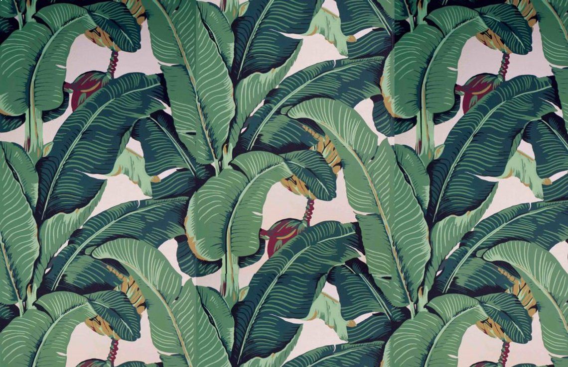 Martinique Banana Leaf - HD Wallpaper 