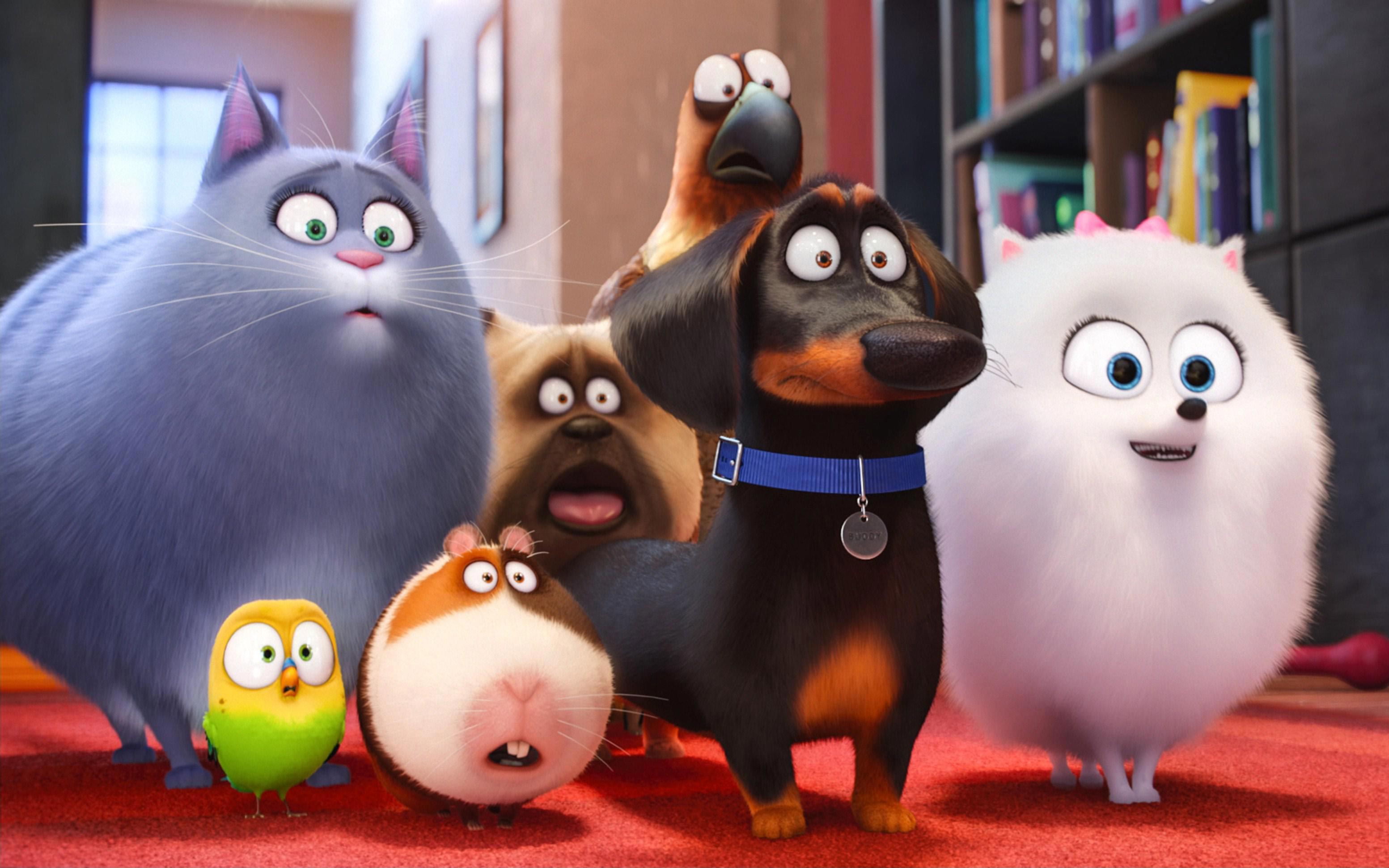 The Secret Life Of Pets 2 Wallpaper - Secret Life Of Pets Cartoon - HD Wallpaper 