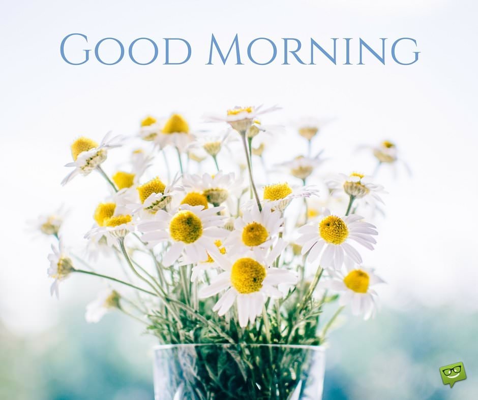 Good Morning - Good Morning Amazing Quotes - HD Wallpaper 